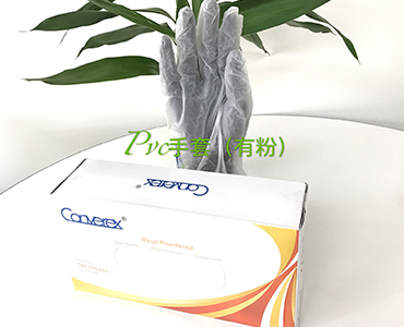 PVC手套（有粉）Vinyl Gloves