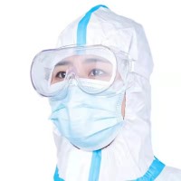 Protective mask